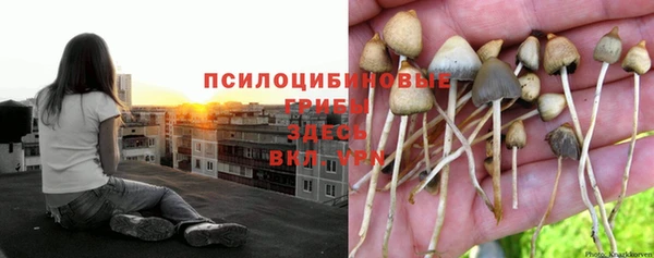прущая мука Алексеевка