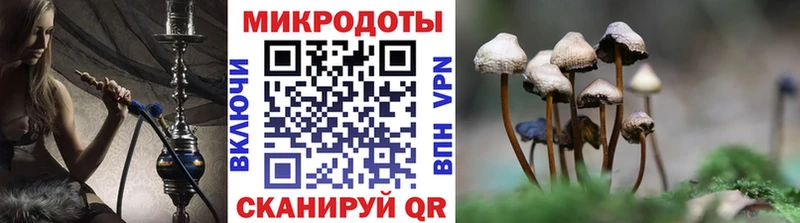 МЕГА ONION  Калач-на-Дону  Галлюциногенные грибы Psilocybine cubensis 